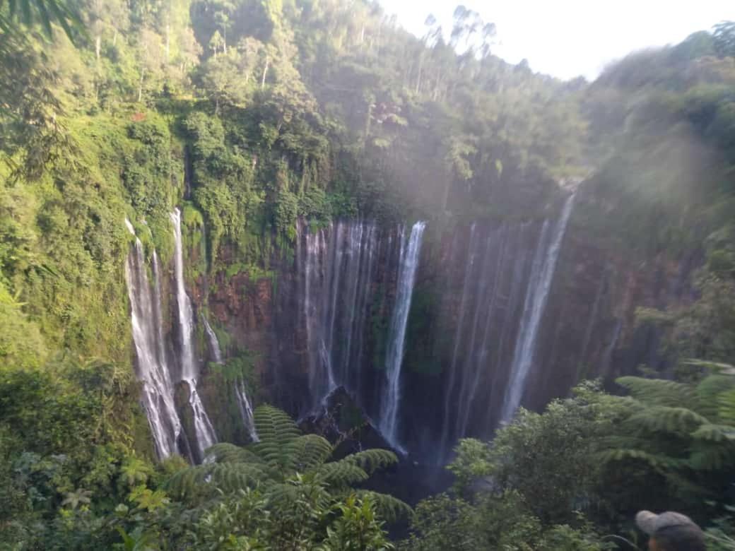 Javalindra Homestay Tour And Travel Banyuwangi Kültér fotó