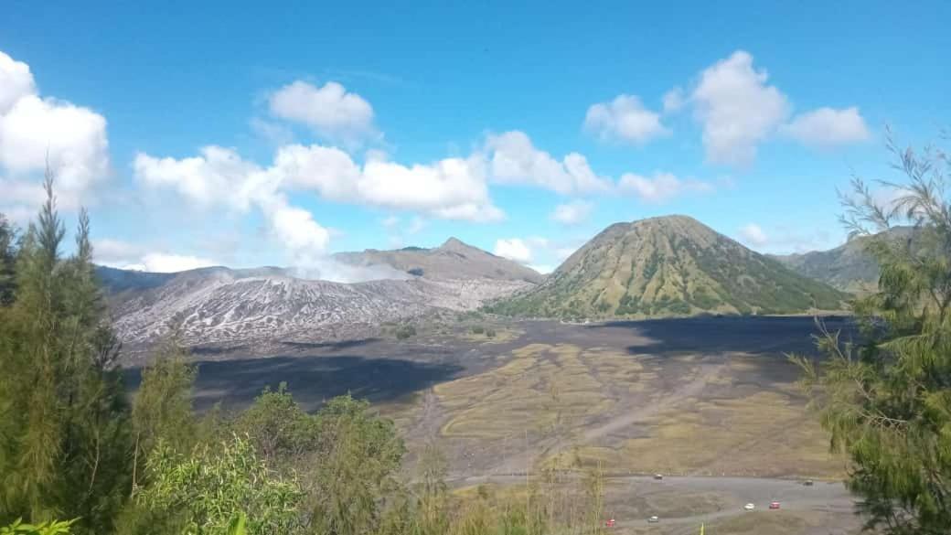 Javalindra Homestay Tour And Travel Banyuwangi Kültér fotó