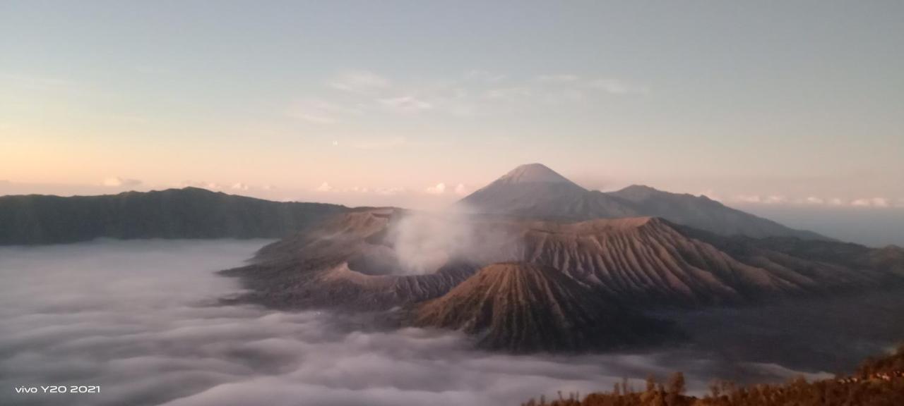 Javalindra Homestay Tour And Travel Banyuwangi Kültér fotó