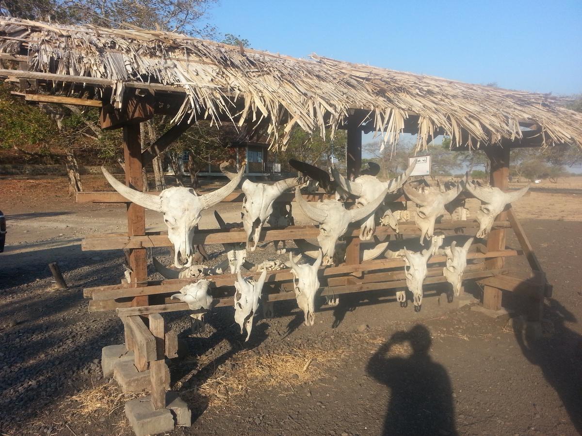 Javalindra Homestay Tour And Travel Banyuwangi Kültér fotó