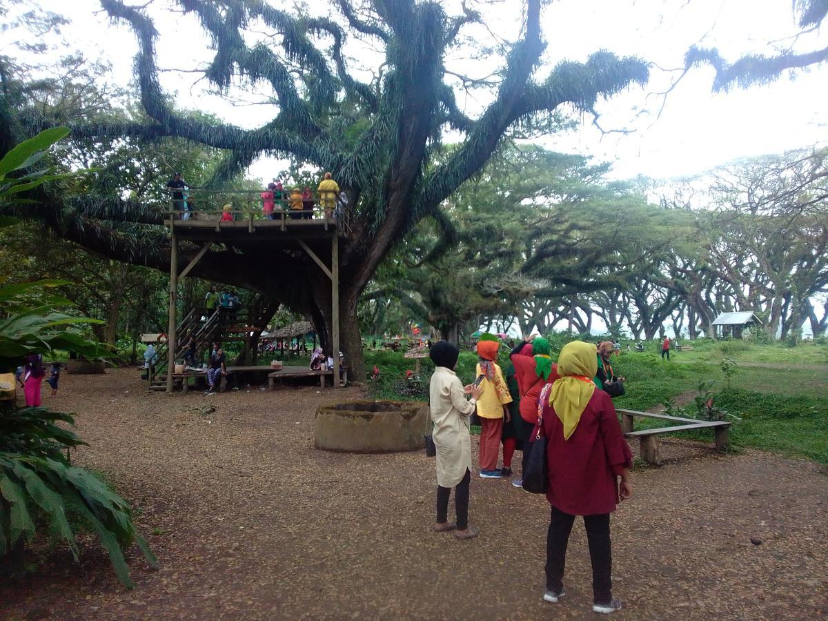 Javalindra Homestay Tour And Travel Banyuwangi Kültér fotó